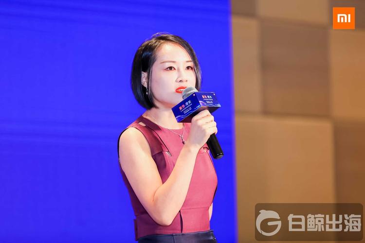 3亿,小米海外互联网生态全面助力出海开发者