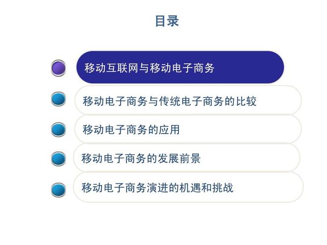 移动互联网与移动电子商务ppt